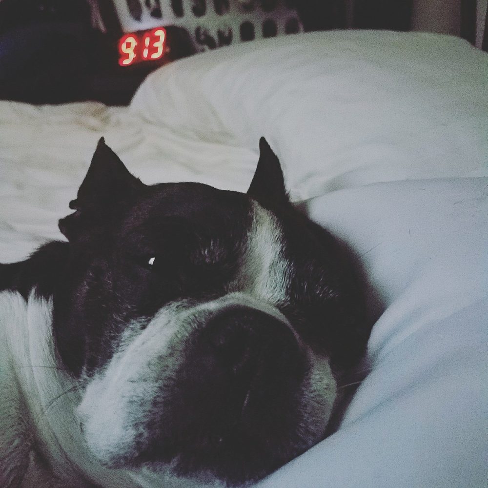 Meet your Posher, Candice